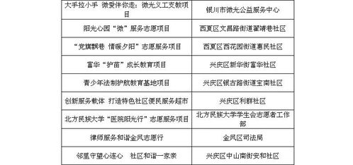 銀川市志愿服務項目評審會圓滿結束，項目策劃與公關服務彰顯專業(yè)水平