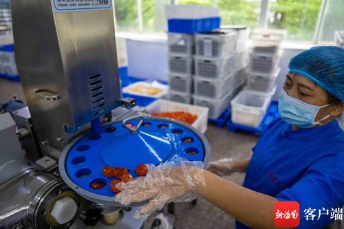 中秋月圓前奏曲 海口老牌食品廠馬力全開，烘出瓊島團(tuán)圓味
