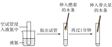 自然界的循環工廠 氧氣與二氧化碳的平衡之旅